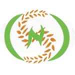 suncitygroup太阳新城
